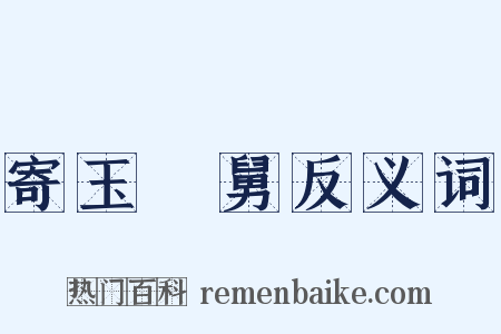 寄玉谿舅反义词是什么意思的图片